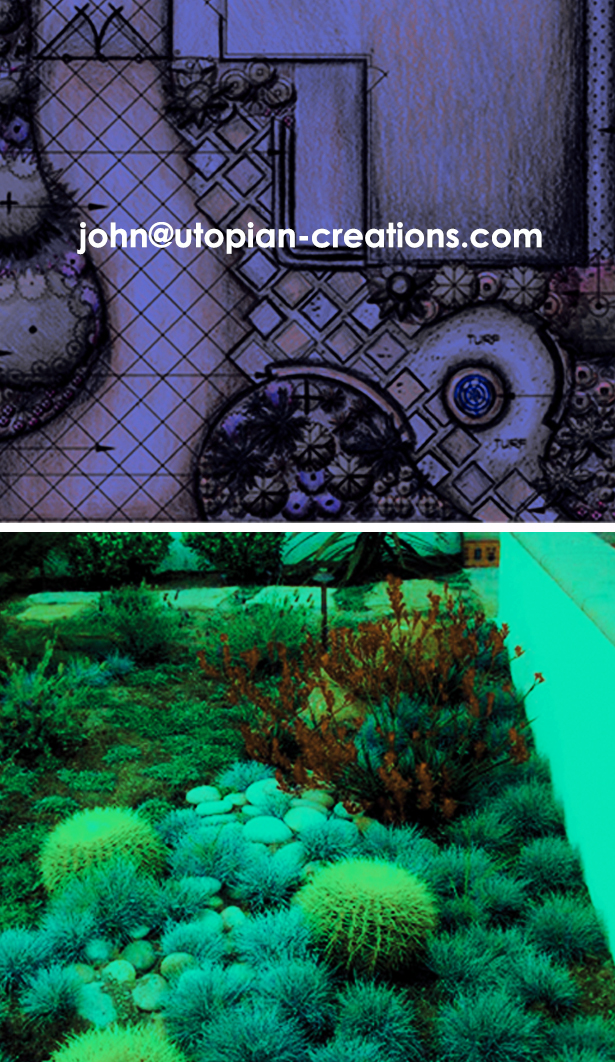 Utopian Creations landscape design back